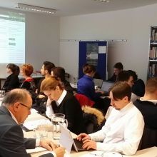 The seventh Steering Committee Meeting held in Vienna